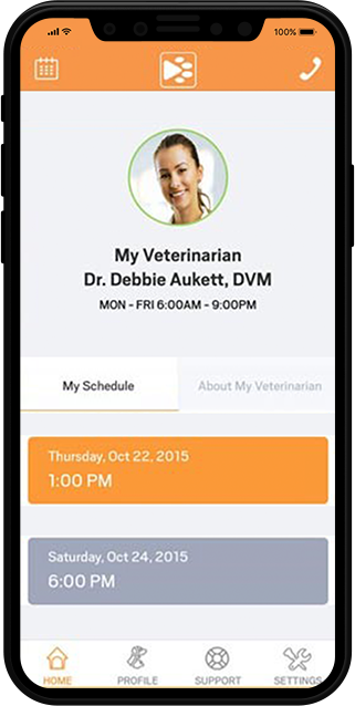 ondemand app development